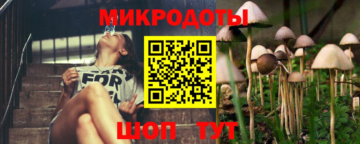 Псилоцибиновые грибы GOLDEN TEACHER  Псилоцибиновые грибы мухоморы  Вход с VPN  Набережные Челны 
