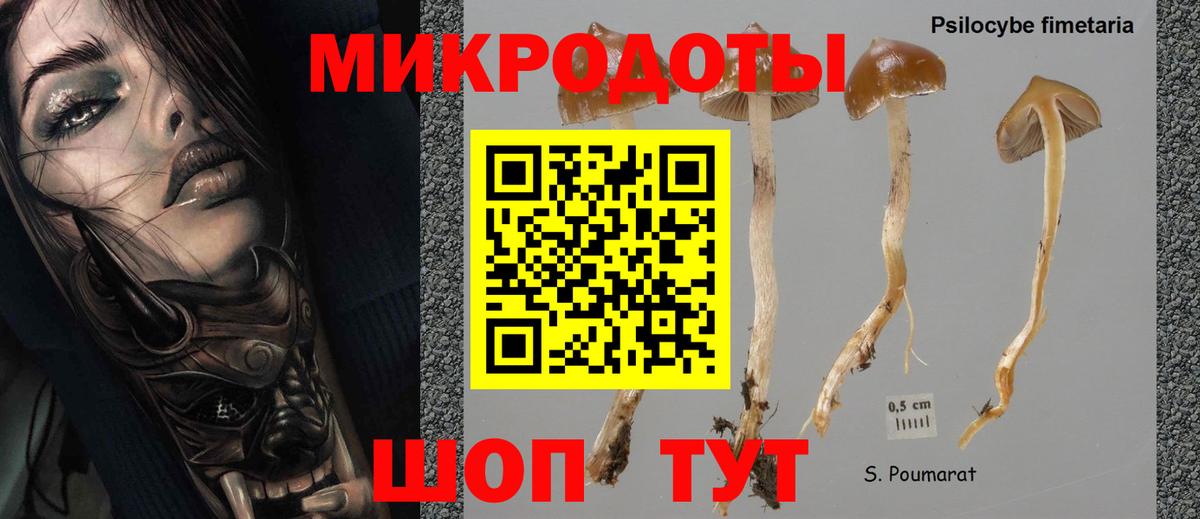Галлюциногенные грибы ЛСД Набережные Челны